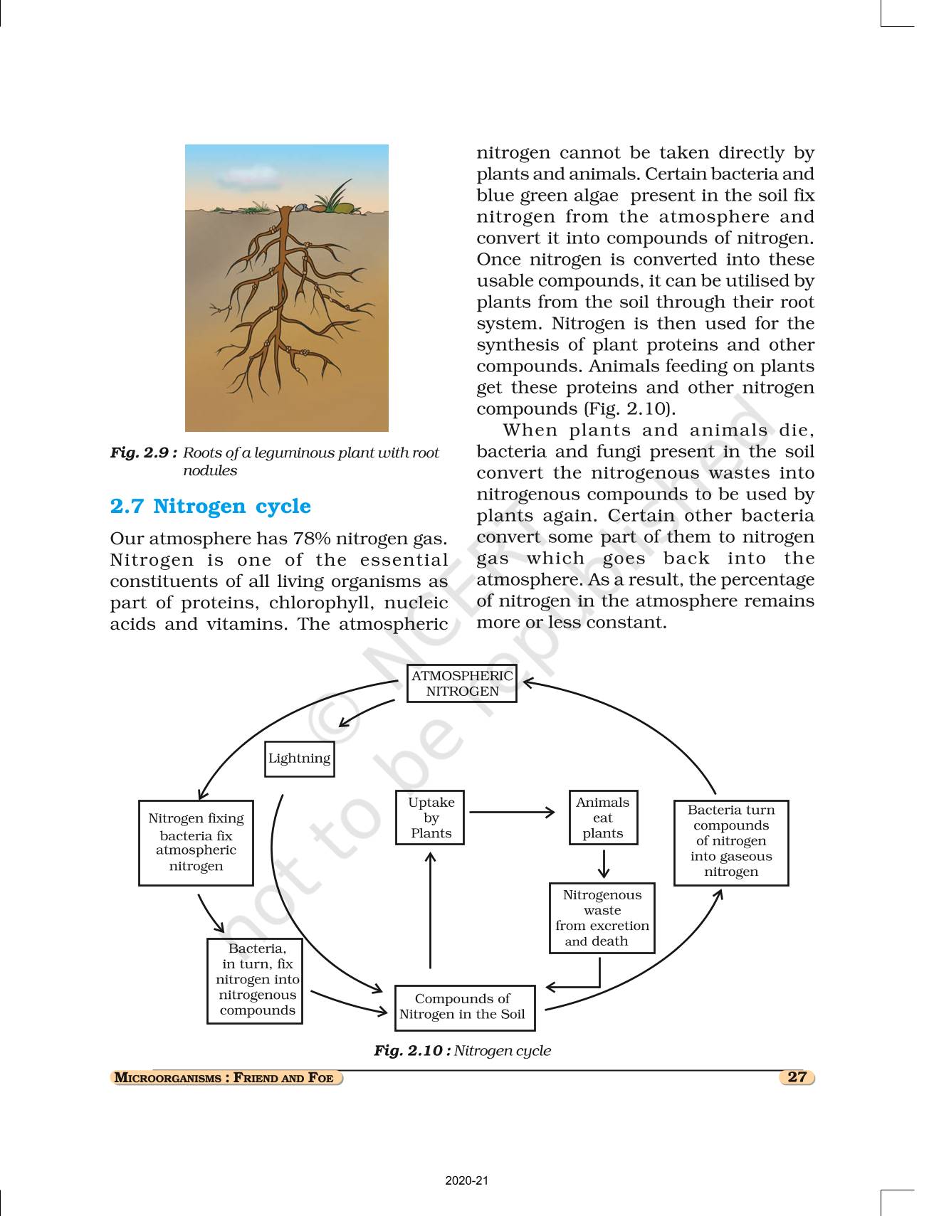 Microorganisms Friend And Foe - NCERT Book Of Class 8 Science